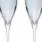 Набор бокалов для шампанского 260 мл Le Stelle Monalisa серый 2 шт
