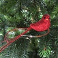 Птица на клипсе 22 см House of Seasons красный