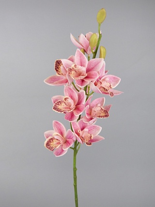 Орхидея Цимбидиум декоративная 75 см Азалия розовый