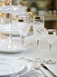 Набор бокалов для шампанского 254 мл Repast Style Prestige Палермо платина 2 шт
