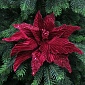 Цветок на клипсе 30 см House of Seasons Пуансеттия бордовый 
