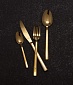 Набор столовых приборов на 4 персоны Kitchen Craft Mikasa Gold золотистый