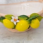 Корзина овальная 27 см Orgia Лимоны