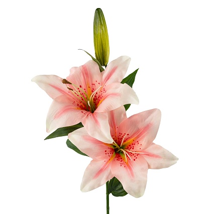 Лилия декоративная 66 см Азалия светло-розовый 