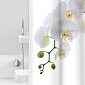 Штора для ванн 180 х 200 см Bacchetta Orchidea
